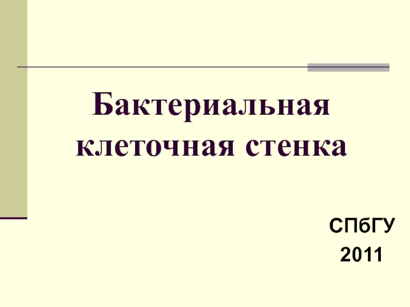 Презентация Бактериальная клеточная стенка