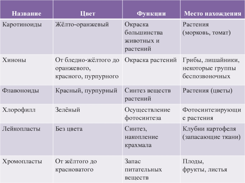 Проект изучение свойств растительных пигментов