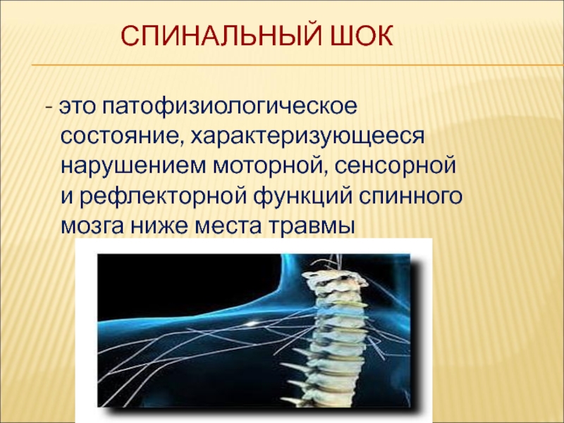Перерезки спинного мозга. Спинальный ШОК патофизиология. Спинальный ШОК характеризуется. Спинальный ШОК И его механизмы физиология. Спинальный ШОК этиология.