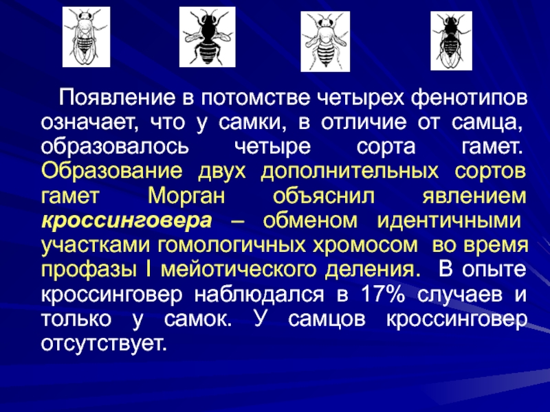 Четыре фенотипические группы. Что обозначает потомство. Объясните образование четырёх фенотипических групп. 4 Фенотипа. Гиперангедония 4 фенотипа.