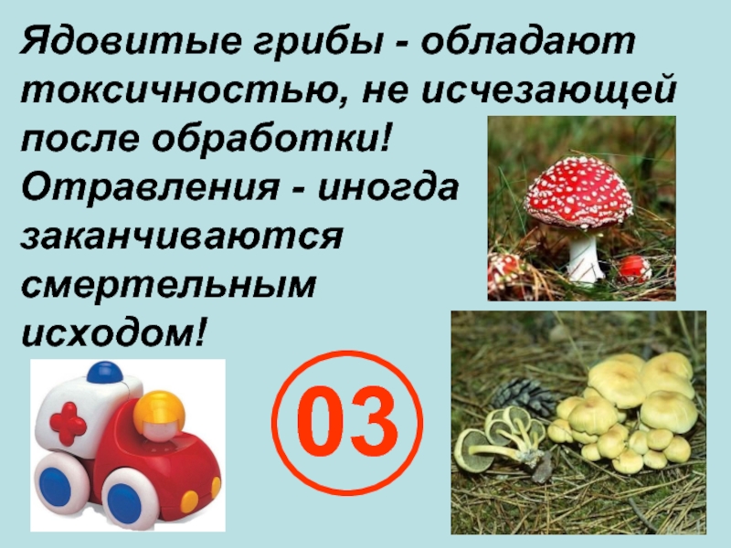 Грибы обладают. Презентация царство грибов ядовитые. 3 Ядовитых гриба. Царство грибов обладают симметрией тела. Смертельно опасный гриб окружающий мир 3 класс.