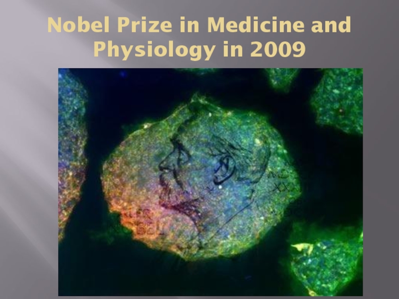 Лауреат Нобелевской премии по физиологии и медицине в 2009 году