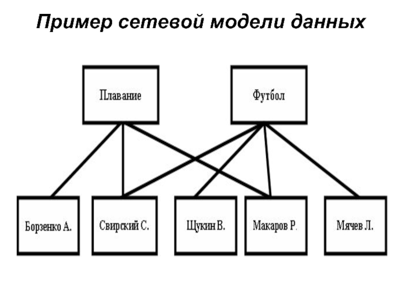 Основные сетевые модели. Сетевая модель данных БД. Сетевая база данных примеры. Пример сетевой базы данных. Сетевая БД пример.
