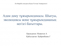 Адам даму тұжырымдамасы. Шығуы, эволюциясы және тұжырымдаманың негізгі