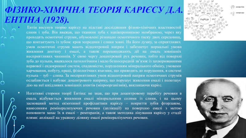 Біохімічні механізми розвитку та зміни при карієсі. Роль фтору та інших Фізико-хімічна теорія карієсу Д.А. Ентіна (1928). Ентін висунув теорію карієсу на підставі Фізико-хімічна теорія карієсу Д.А. Ентіна (1928). Ентін висунув теорію карієсу на підставі дослідження фізико-хімічних властивостей слини і зуба.