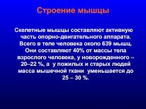 Строение мышцы