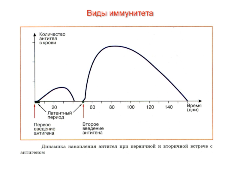 https://theslide.ru/img/thumbs/dc6861e18f3235e54e52f8605de2a619-800x.jpg