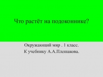 Презентация к уроку окружающий мир 1 класс УМК Школа России