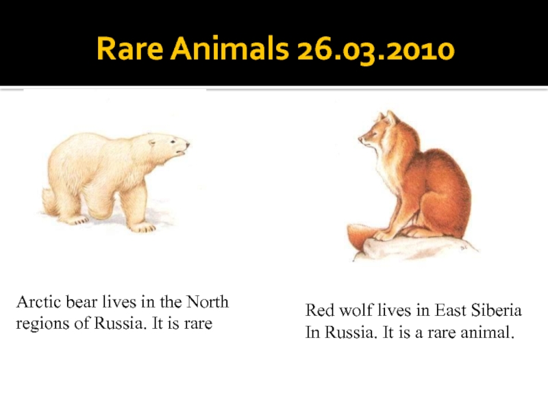 Rare Animals 6 класс