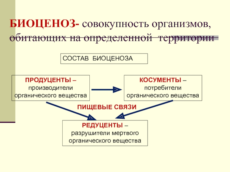 Определенная совокупность организмов