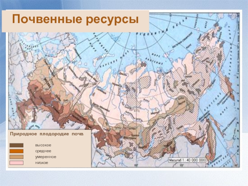 Карта почвенных ресурсов