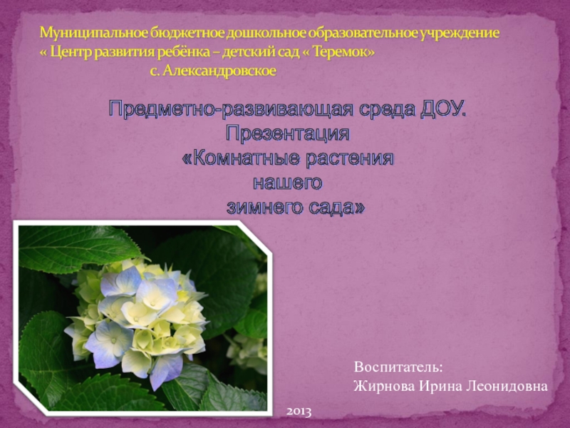 Презентация Оранжерея ДОУ-комнатные растения