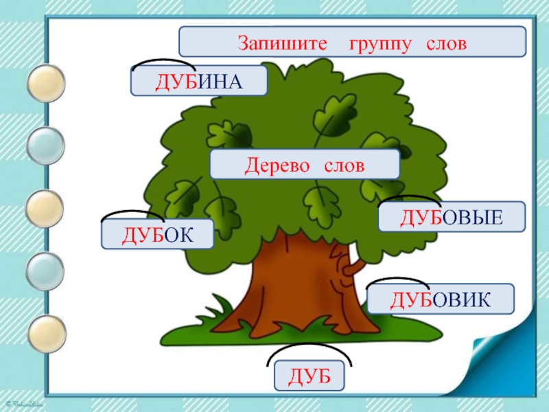 1 группа однокоренных слов. Дерево с однокоренными словами. Дерево родственных слов. Дерево с однокоренными словами дуб. Дерево однокоренных слов 2 класс.