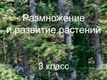 Размножение  и развитие растений  3 класс