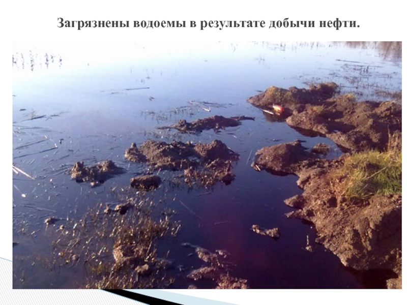 В небольшом водоеме образовавшемся после разлива реки. Загрязненность реки Волга. Разлив нефти. Загрязнение водоемов нефтью. Загрязнённые реки России.
