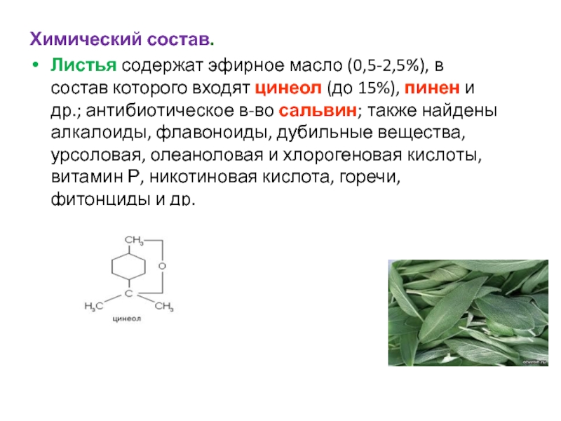 Листьев по составу