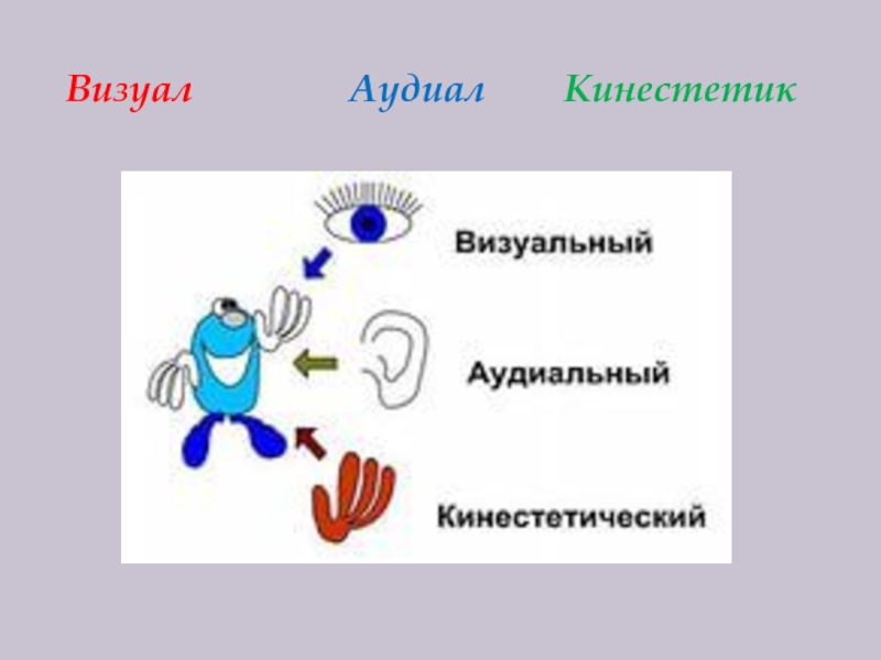 Аудиалы визуалы кинестетики презентация