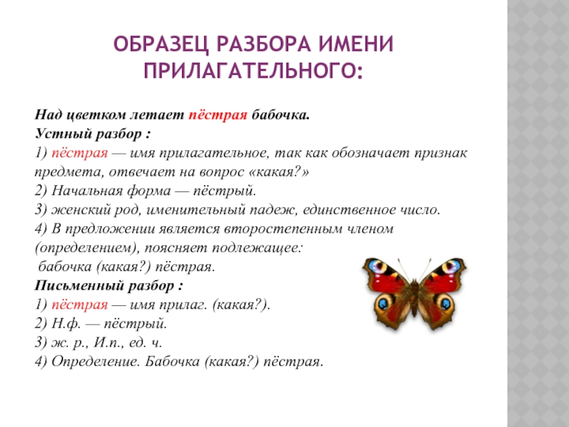 Начальная форма прилагательного является. Морфологический разбор слова бабочка. Начальная форма слов прилагательных. Признаки начальной формы прилагательного. Устный разбор имени прилагательного.