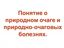 Понятие о природном очаге и природно-очаговых болезнях