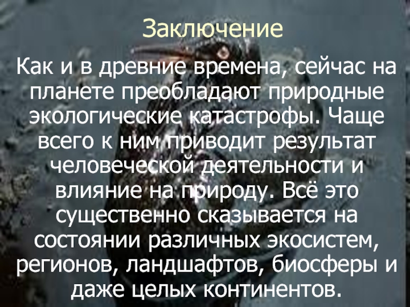 Природные экологические катастрофы презентация