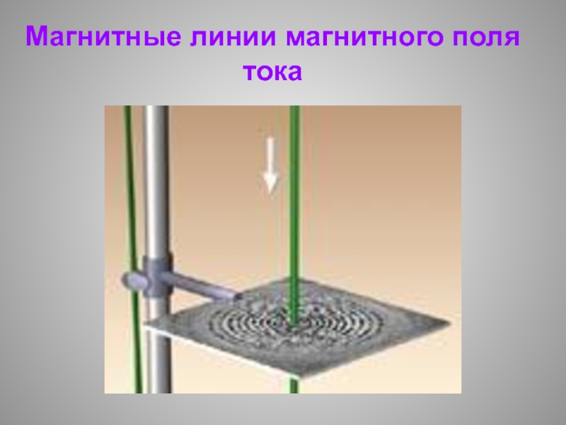 9 ноября магнитная. Магнитные линии это 9 класс.