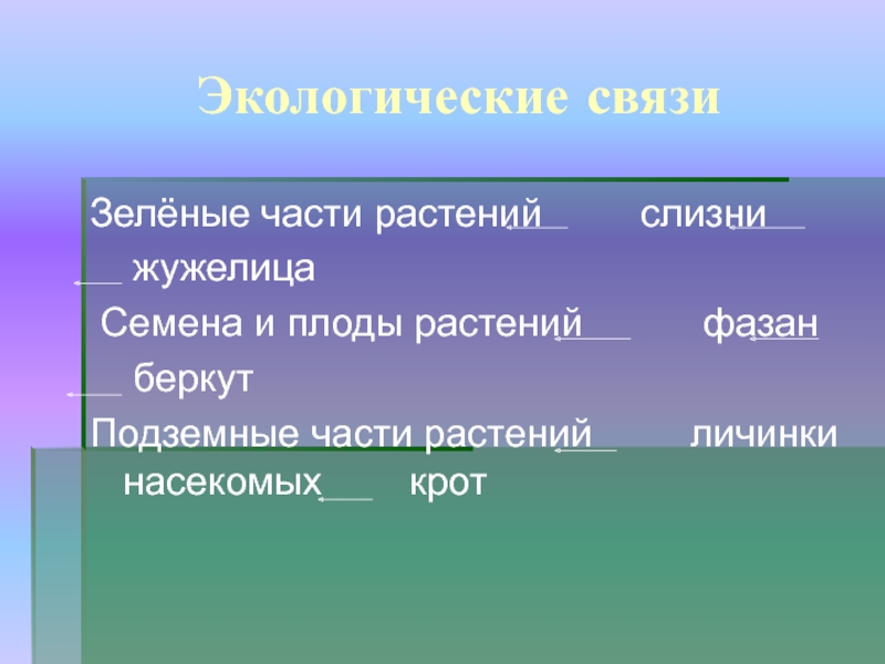 Экологические связи