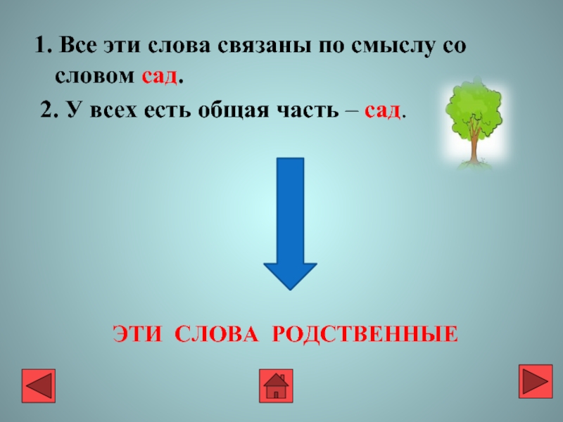 Родственные слова сад. Формы слова сад. Слова связаны по смыслу. Разные формы слова сад.