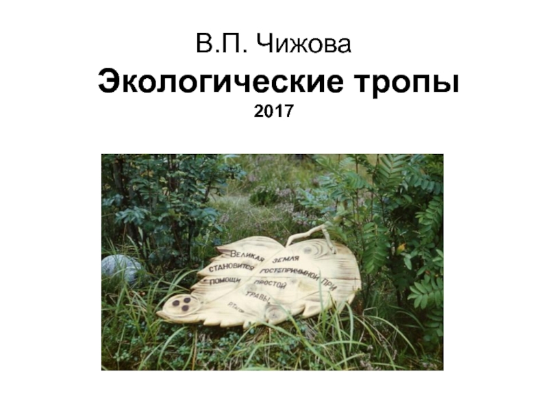 В.П. Чижова Экологические тропы 2017