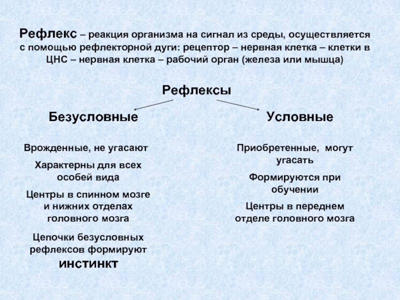 Условные рефлексы у рыб. Рефлексы рыб. Формирование рефлекса у рыб. Формирование условных рефлексов у аквариумных рыб. Условные рефлексы у аквариумных рыб.