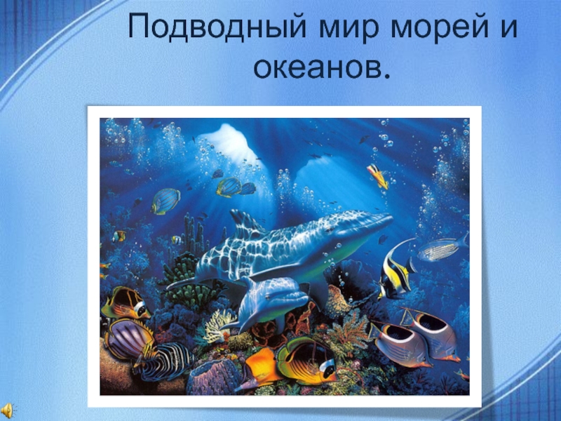 Подводный мир морей и океанов