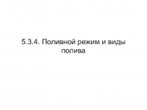 Поливной режим и виды полива