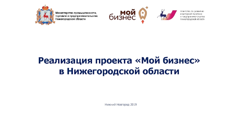 Нижний Новгород 2019
Реализация проекта Мой бизнес
в Нижегородской области