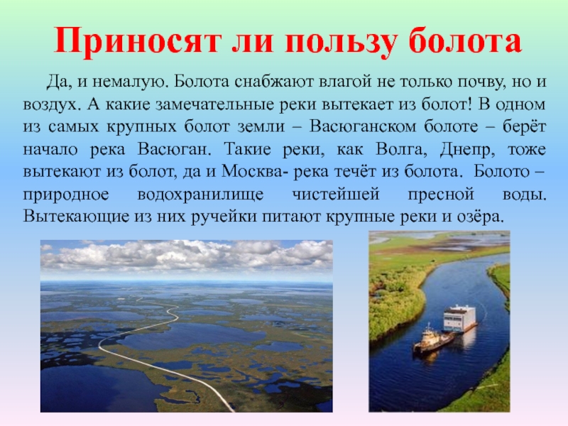 Необходимое болото. Доклад про болото. Болота доклад. Болота России презентация. Оть КУДО бероца балота.