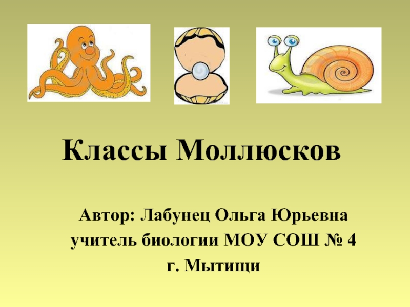 Презентация Классы Моллюсков