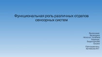 Функциональная роль различных отделов сенсорных систем