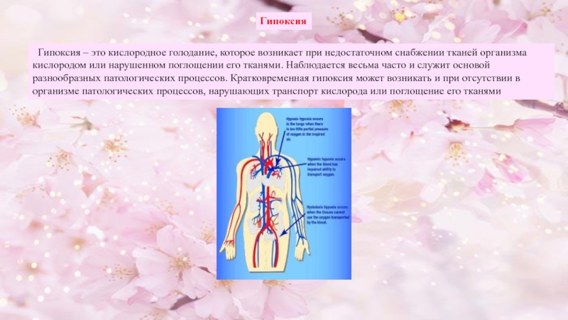 Практическая работа тема кислородное голодание 8 класс. Кислородное голодание тканей. Гипоксия органов и тканей. Кислородное голодание вывод. Недостаточное снабжение организма кислородом.