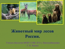 Животный мир лесов России
