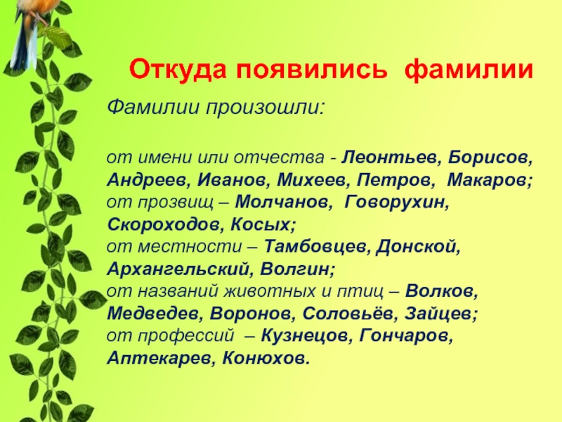 Для чего нужна фамилия. Фамилии. Фамилии имена и отчества презентация. Отчество проект. Фамилия имя отчество.