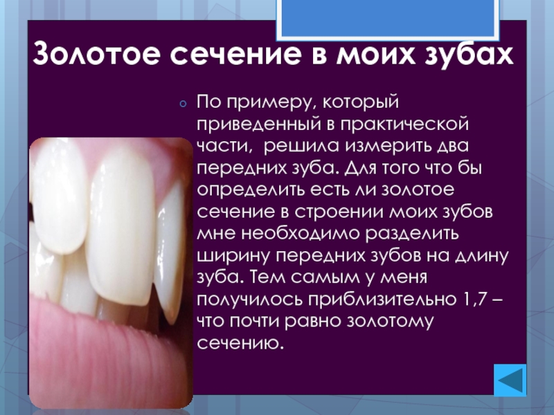 Золотое сечение в моих зубах По примеру, который приведенный в практической части, решила измерить два передних зуба.