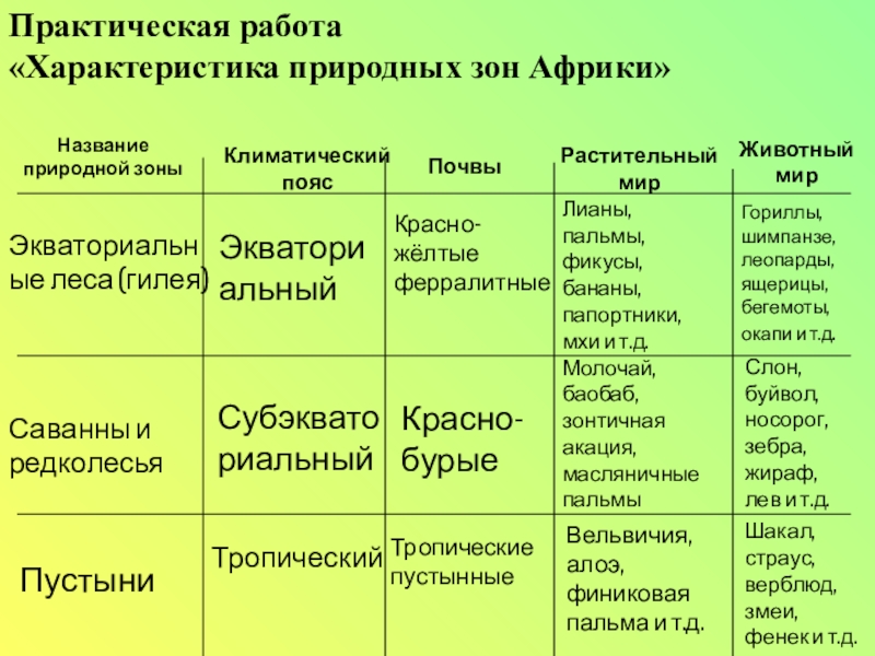 План характеристики климата африки 7 класс