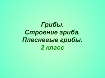 Грибы. Строение гриба. Плесневые грибы 2 класс