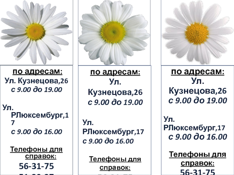 по адресам:
Ул. Кузнецова,26
с 9.00 до 19.00
Ул. РЛюксембург,17
с 9.00 до