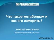 Что такое метаболизм и как его измерить?