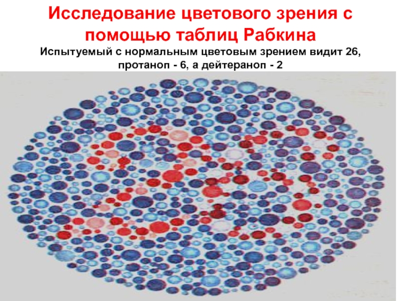 Картинки для определения цветов