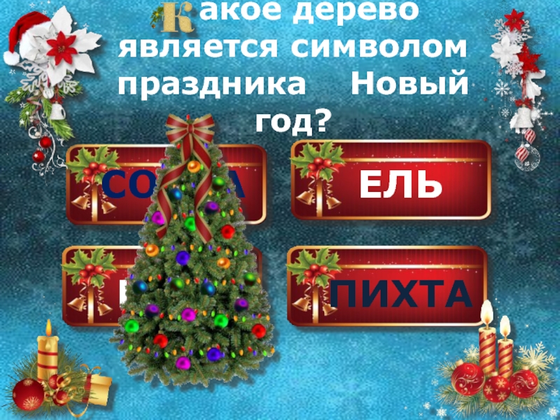 Что является символом нового года. Какое дерево является символом нового года. Какое дерево символ праздника новый год. Почему является символом нового года.