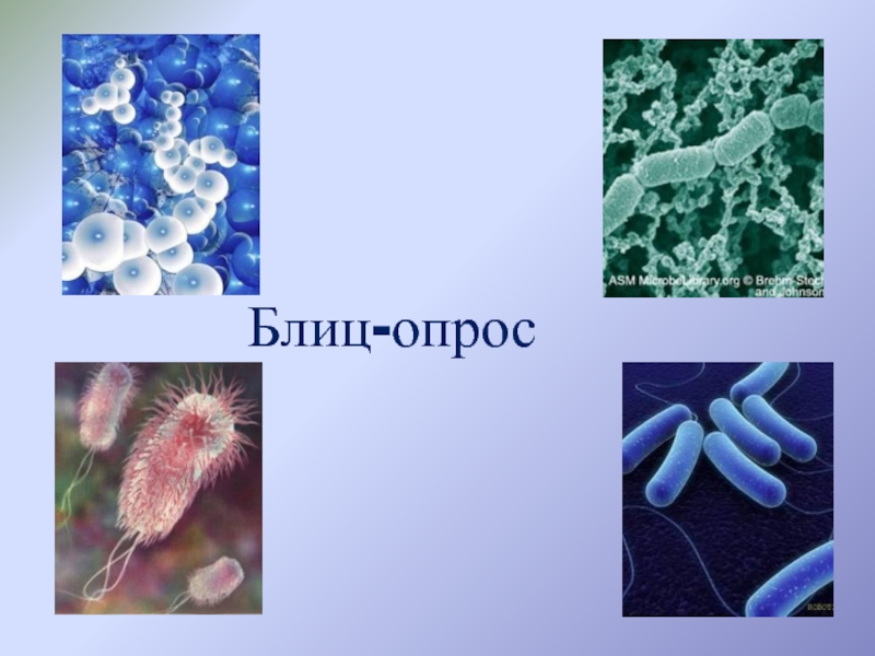 Роль бактерий в воде. Бактерии в народном хозяйстве. Роль бактерий в природе 7 класс биология. Роль микроорганизмов в природе и народном хозяйстве. Микроорганизмы в удобрениях.