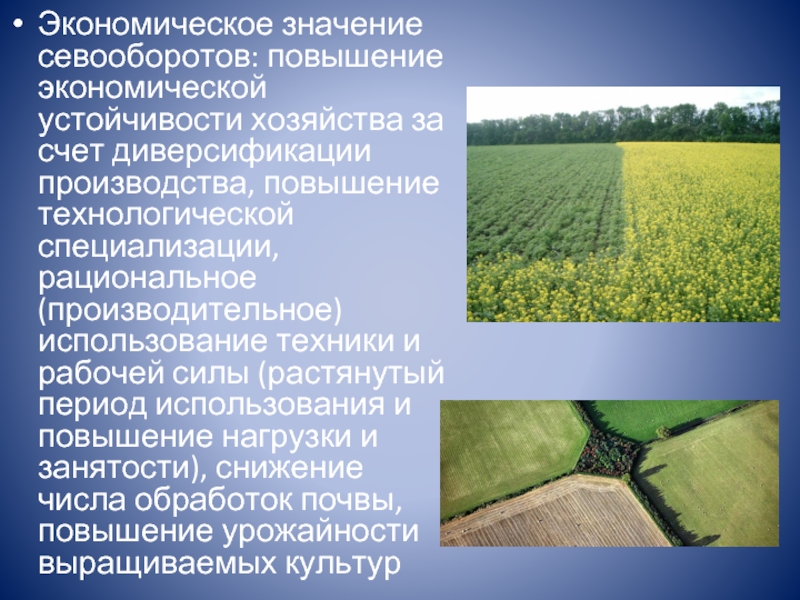 Севообороты в сельском хозяйстве. Чередование культур в севообороте в сельском хозяйстве. Экономический значение севооборота. Севооборот в растениеводстве.