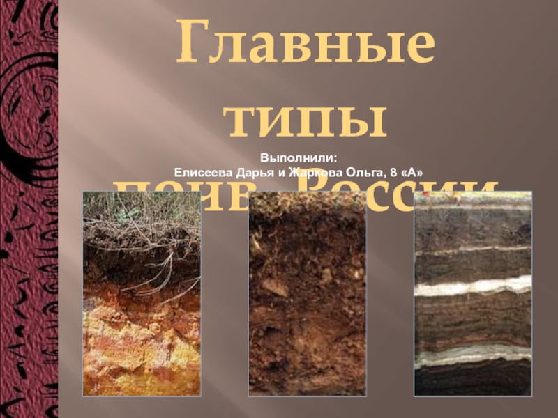 Главные типы почв России (8 класс)