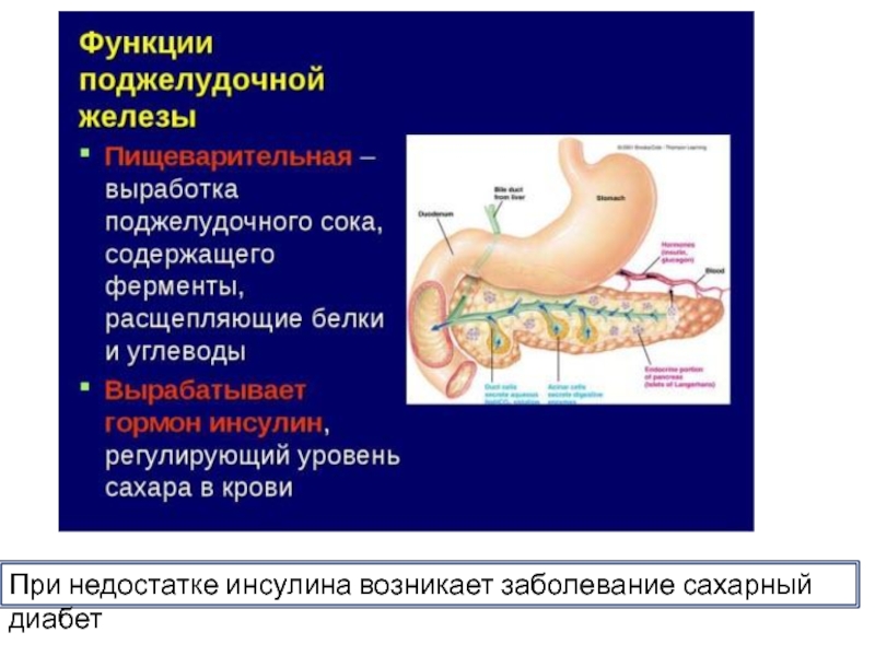 Увеличена поджелудочной железы