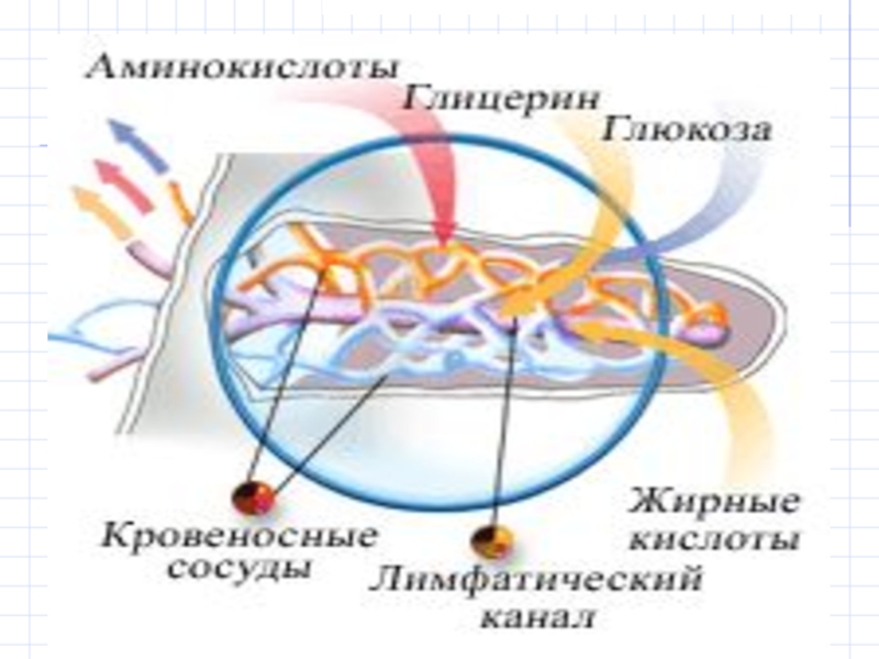 Проникновение веществ друг в друга